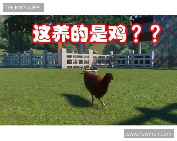 哈姆西克谈退役后日子:我爱上了养鸡,考虑在家里开个动物园 哈姆西克谈退役后日子:我爱上了养鸡,考虑在家里开个动物园