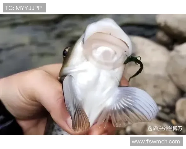 垂钓人的“公敌”,钓到后有必要拉黑处理!清道夫究竟犯了啥错? 垂钓人的“公敌”,钓到后有必要拉黑处理!清道夫究竟犯了啥错?